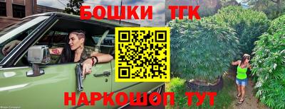 прущие грибы Канаш