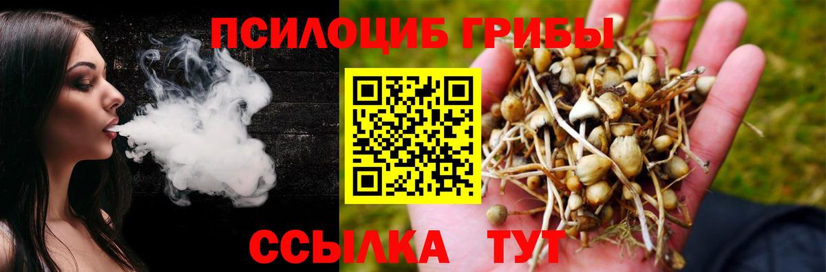 Галлюциногенные грибы GOLDEN TEACHER  Вход с VPN  Пугачёв 